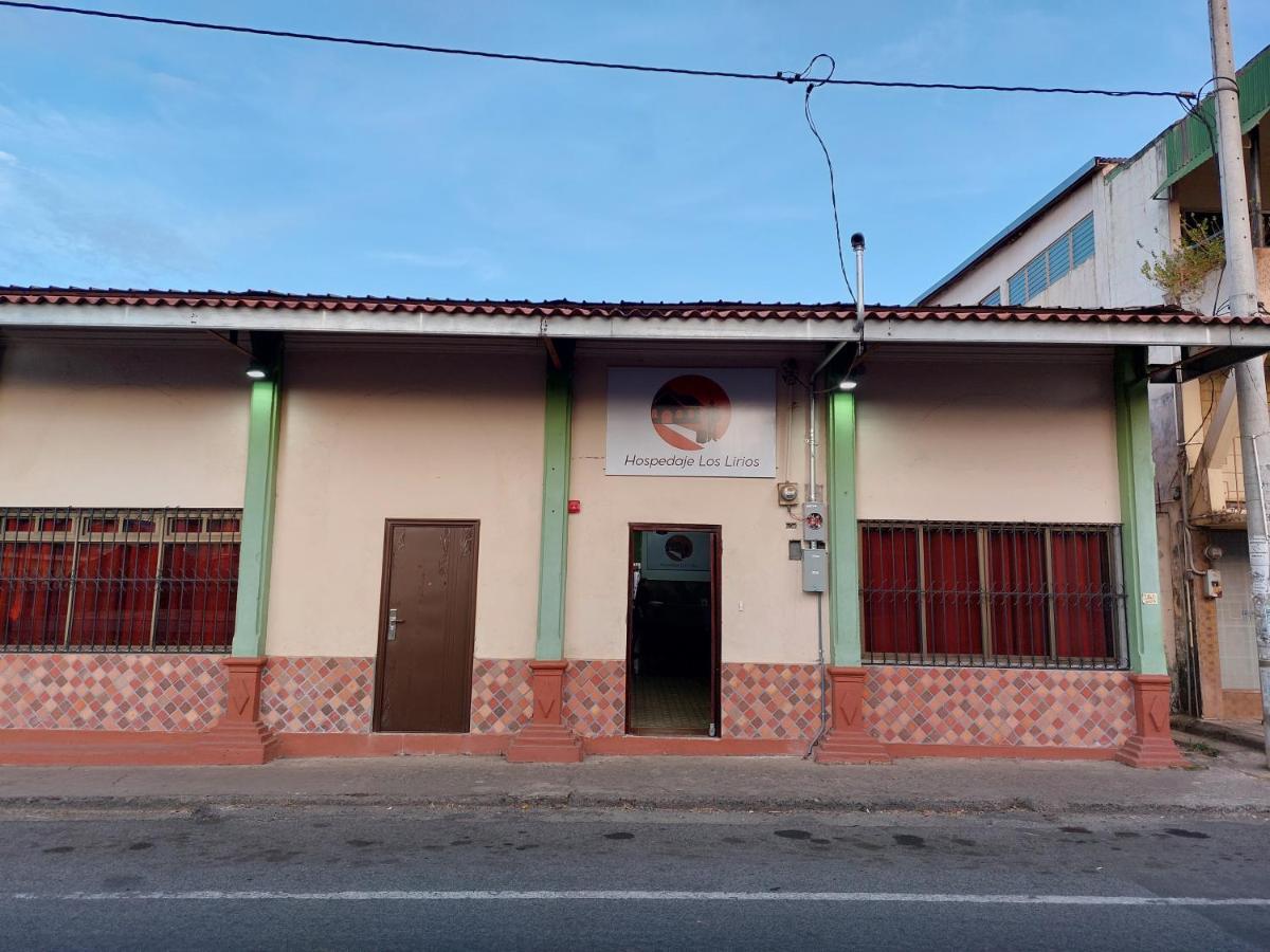 Lirios Pensión Chitré